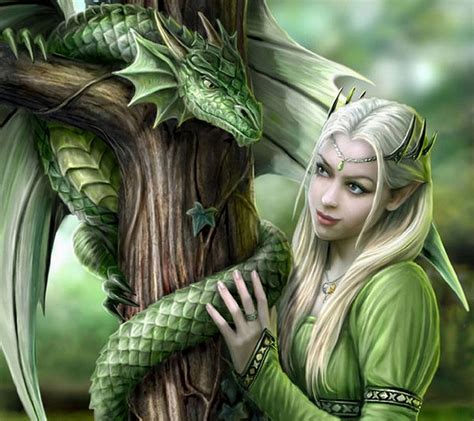 Elves and Dragons Kindle Editon