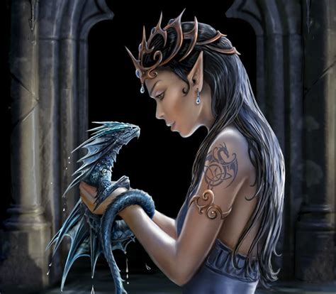 Elves and Dragons Kindle Editon