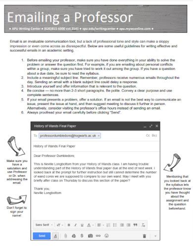 Emailing Professor Template