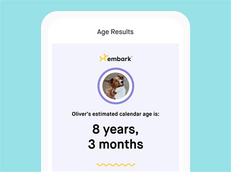 Embark Age Test: Decoding Your Dog's True Age for Optimal Care