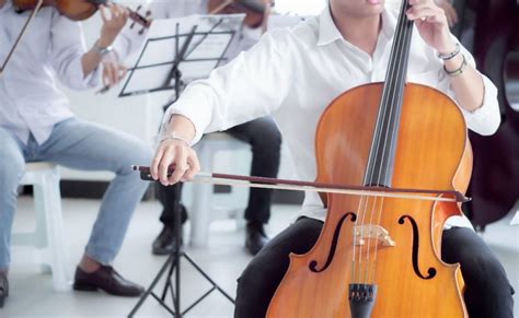 Embark on Your Musical Odyssey: A Comprehensive Guide to Buying a Cello in Altoona