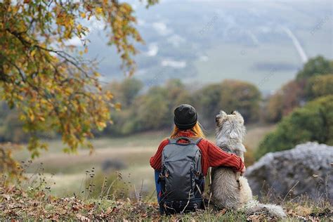 Embark on a Canine Combat Adventure