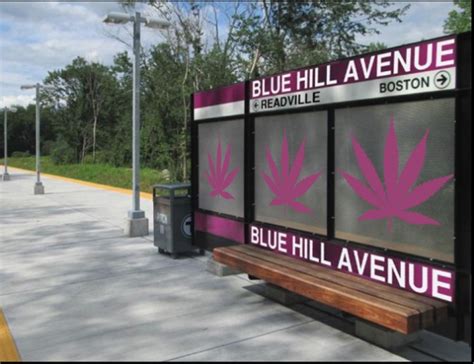 Embark on a Dispensary Adventure on Blue Hill Avenue