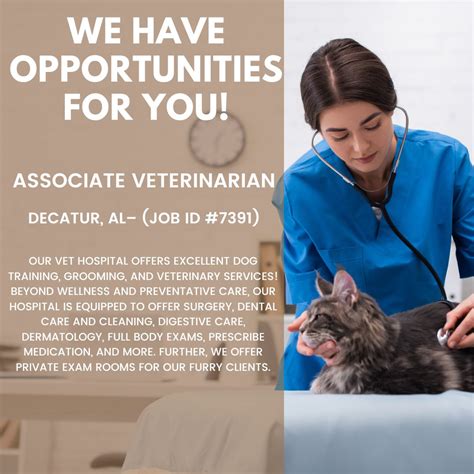 Embark on a Fulfilling Veterinary Technology Career in Singapore: A Comprehensive Guide