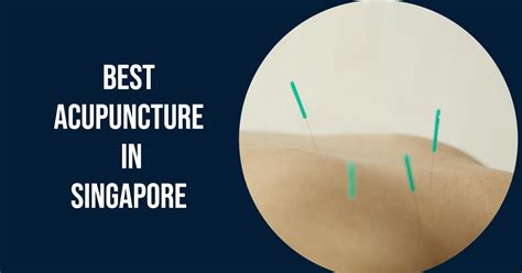 Embark on a Holistic Journey: Your Guide to TCM Courses in Singapore