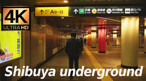 Embark on a Journey Through the Shibuya Underground