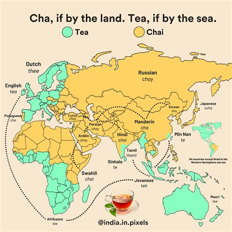 Embark on a Journey into the World of Tea Trading: Unveiling Tea Chapter Trading Pte. Ltd.