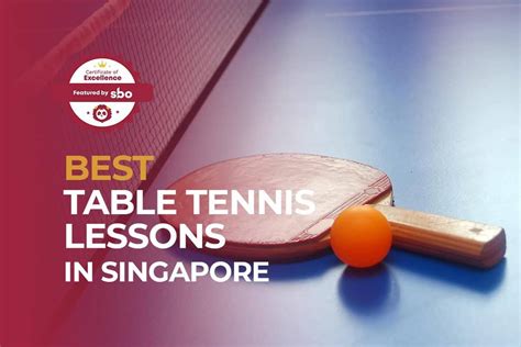 Embark on a Journey of Excellence with Table Tennis Lessons in Singapore