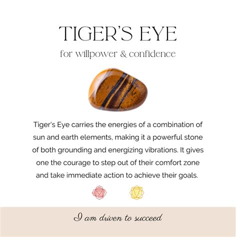 Embark on a Journey with the Golden Guardian: Tiger's Eye Crystal