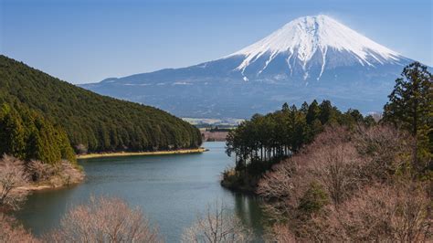 Embark on a Pilgrimage to Mount Fuji