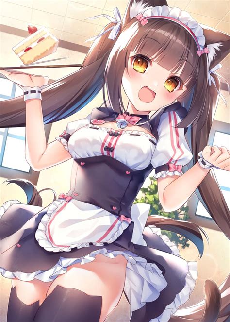 Embark on a Purr-fect Journey with Nekopara Chocola: A Guide to Delight and Inspiration