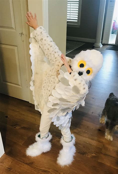 Embark on a Snowy Adventure: The Ultimate Guide to Creating a Captivating Snow Owl Costume