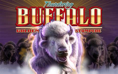 Embark on a Thundering Stampede with Bravado Buffalo!