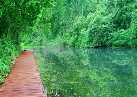 Embark on an Adventure: Exploring the Enchanting MacRitchie Reservoir Trail