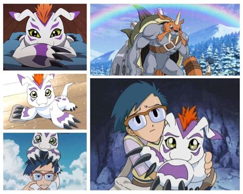 Embark on an Adventure with Gomamon, the Aquatic Digimon