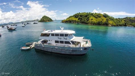 Embark on an Aquatic Odyssey: Marine Biology Major Colleges That Will Dive Deep