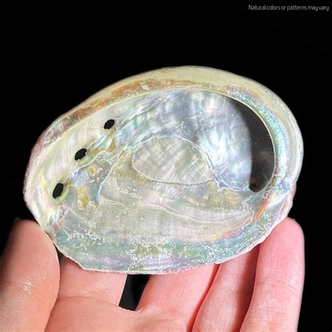 Embark on an Enchanting Journey with Abalone Crystal