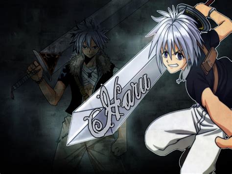 Embark on an Epic Adventure: Exploring the Legendary World of Rave Master Haru