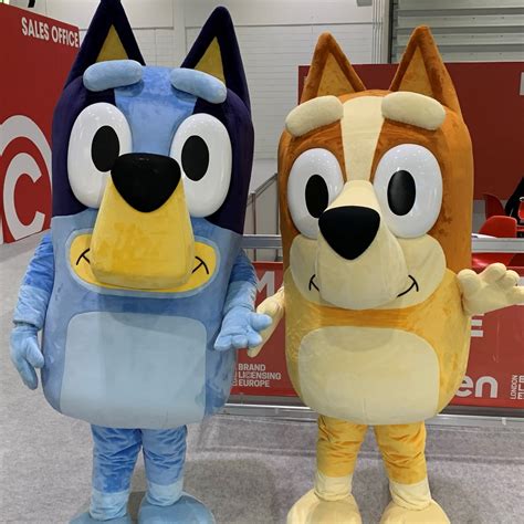 Embark on an Epic Adventure with Bluey and Bingo Costumes: A Comprehensive Guide