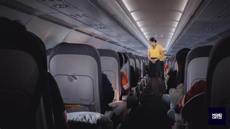 Embark on an Extraordinary Journey: Embracing the Flight Attendant Costume