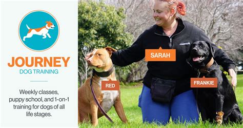 Embark on an Extraordinary Journey of Dog Training with Meggan Gallagher