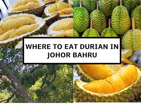 Embark on an Unforgettable Durian Tour in Johor Bahru: A Comprehensive Guide