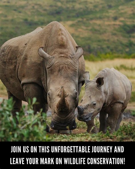 Embark on an Unforgettable Journey at the Heart of Conservation and Animal Welfare