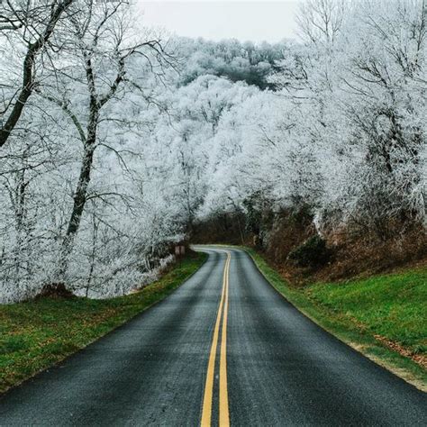Embark on an Unforgettable Journey at the University of Virginia