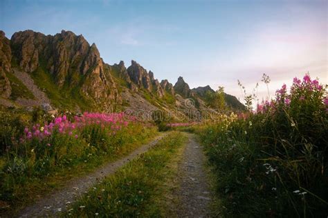 Embark on an Unforgettable Journey through the Appalachian Mountains