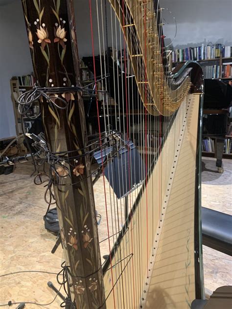Embark on the Adventure of Renaissance Harp Making
