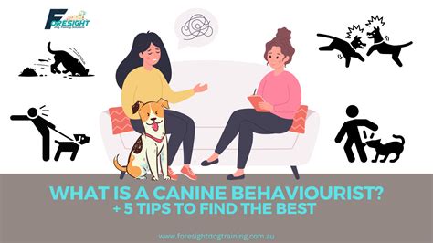 Embark on the Journey: Steps to Find the Best Canine Training Near You