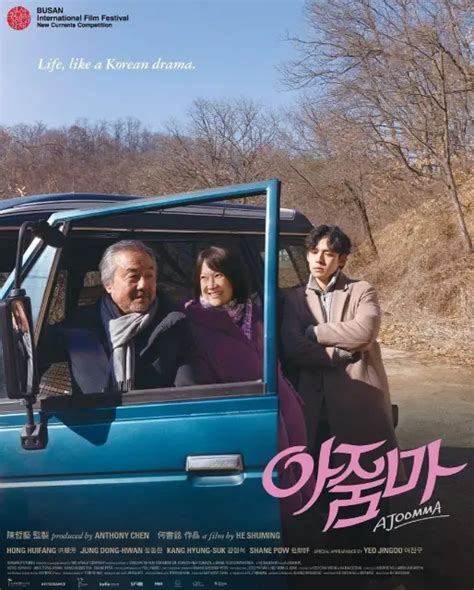 Embarking on a Heartwarming Journey with the Cast of 'Ajoomma'