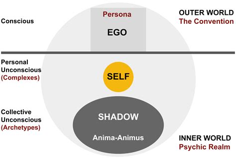 Embarking on a Journey of the Human Psyche: A Comprehensive Guide to the Psychology Minor at NUS