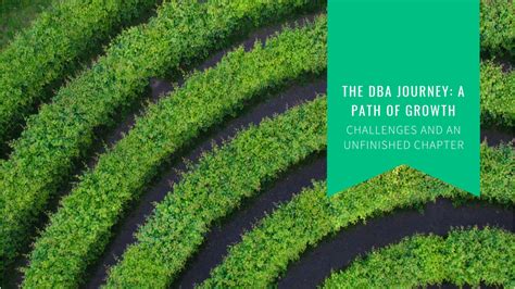 Embarking on an Online DBA Journey: Navigate the Path to Business Leadership