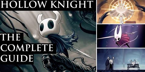 Embody the Spirit of Hallownest: A Comprehensive Guide to Hollow Knight Costumes