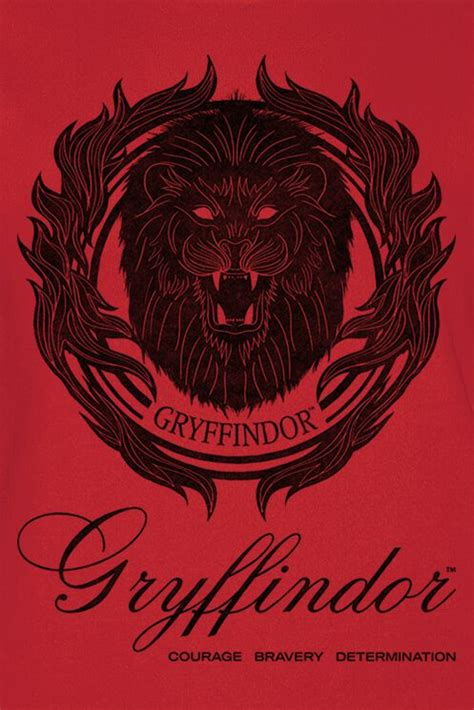 Embodying Courage and Determination: A Comprehensive Guide to the Gryffindor Outfit