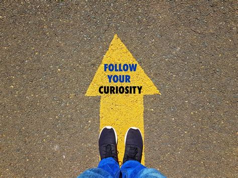 Embrace Curiosity: