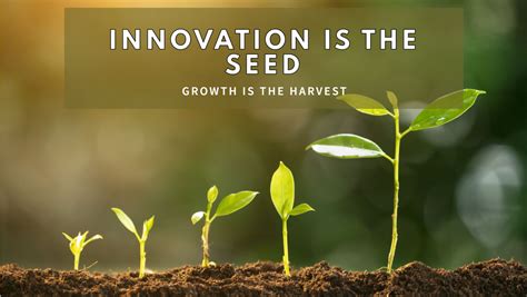 Embrace Innovation as a Driver for Growth: