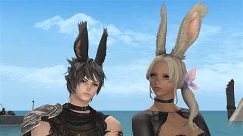 Embrace Your Inner Viera: A Comprehensive Guide to FF14 Y'or Hair