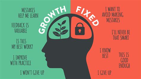 Embrace a Growth Mindset