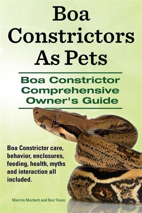 Embrace the Boa Boa Lifestyle: A Comprehensive Guide to Health, Beauty, and Well-being