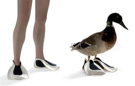 Embrace the Comfort and Sustainability of Duckfeet Shoes
