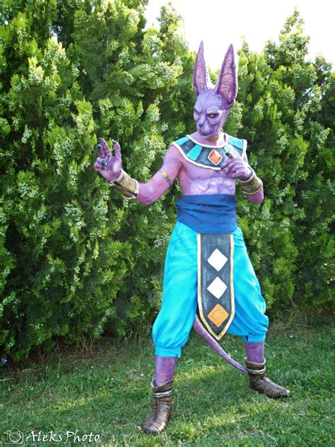 Embrace the Destroyer: A Comprehensive Guide to Beerus Cosplay