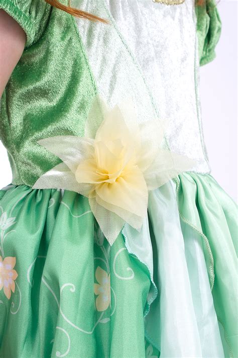 Embrace the Enchanting Realm of the Frog Princess Dress