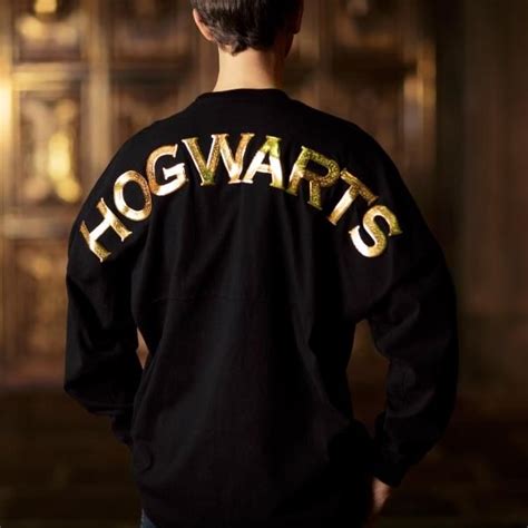 Embrace the Hogwarts Spirit with Crest Sweatshirts