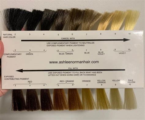 Embrace the Kaleidoscope of Hair Hue Possibilities with Our Comprehensive Color Swatches