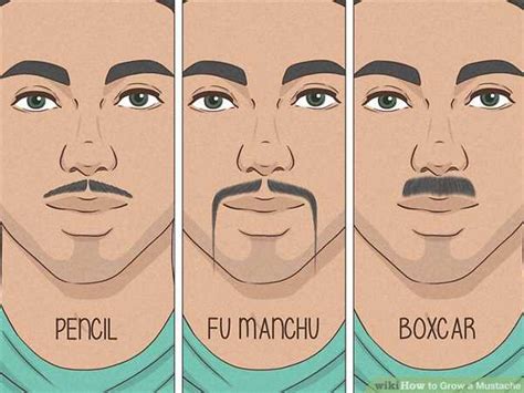 Embrace the Mustache: A Comprehensive Guide to Costume Magic