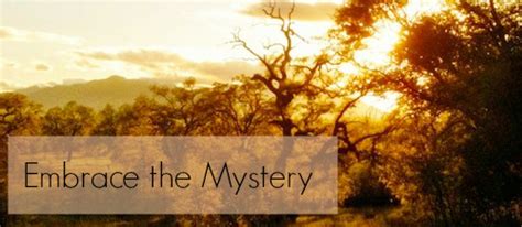 Embrace the Mystery: