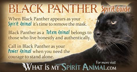 Embrace the Power: Unleashing the Spirit of the Black Panther Within