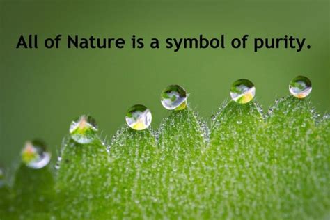 Embrace the Symbolism of Purity